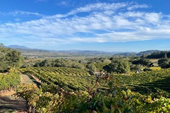 Hanna Winery vineyards