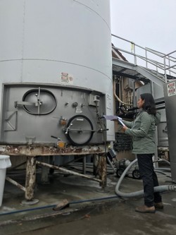 Doris Michue monitoring fermentation vessels