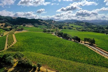 Hanna Winery vineyards